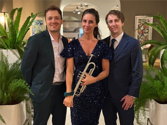 Akoestisch trio